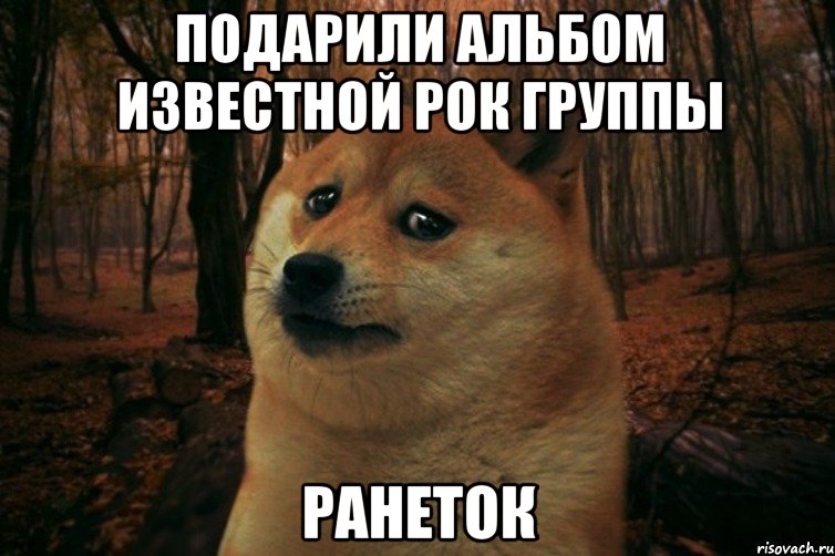 подарили альбом известной рок группы ранеток, Мем SAD DOGE