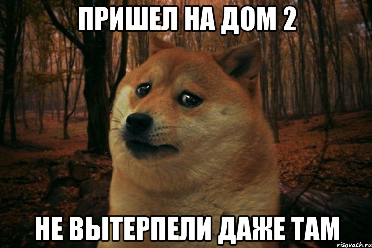 пришел на дом 2 не вытерпели даже там, Мем SAD DOGE