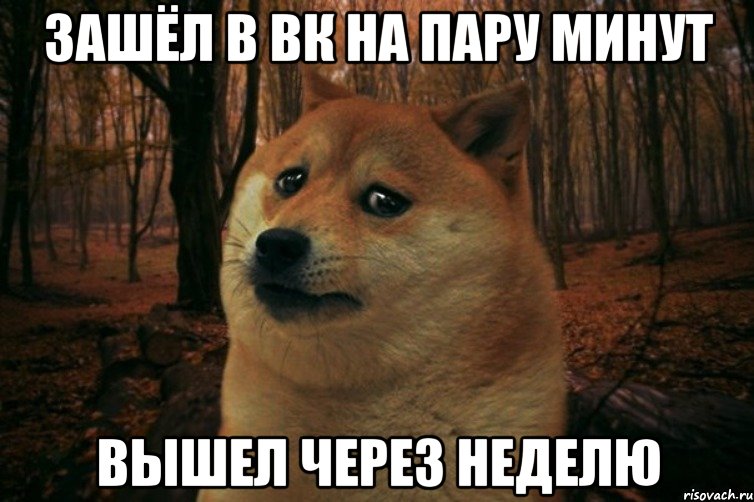 зашёл в ВК на пару минут вышел через неделю, Мем SAD DOGE