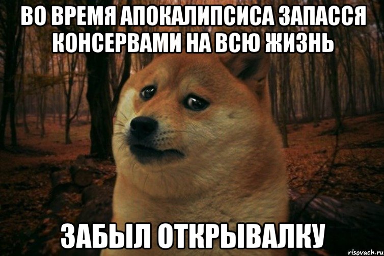 во время апокалипсиса запасся консервами на всю жизнь забыл открывалку, Мем SAD DOGE