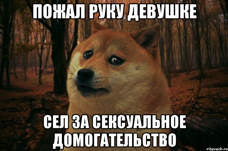 пожал руку девушке сел за сексуальное домогательство, Мем SAD DOGE