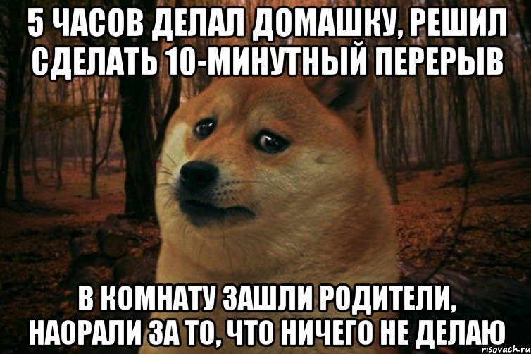 5 часов делал домашку, решил сделать 10-минутный перерыв в комнату зашли родители, наорали за то, что ничего не делаю, Мем SAD DOGE