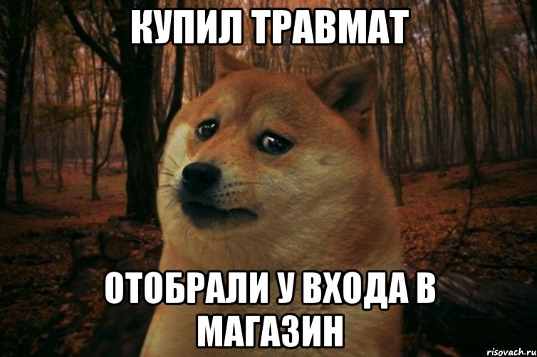 купил травмат отобрали у входа в магазин, Мем SAD DOGE