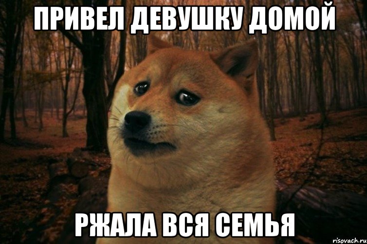 привел девушку домой ржала вся семья, Мем SAD DOGE