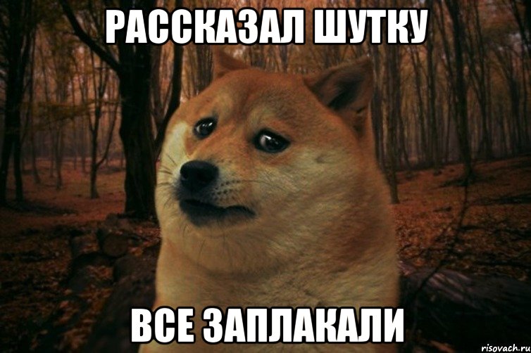 рассказал шутку все заплакали, Мем SAD DOGE