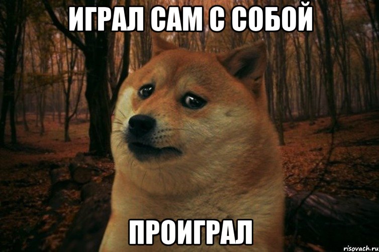 играл сам с собой проиграл, Мем SAD DOGE