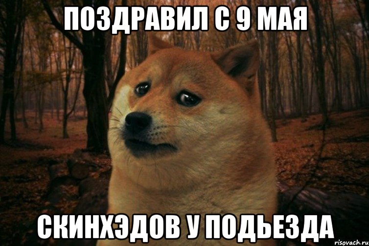 поздравил с 9 мая скинхэдов у подьезда, Мем SAD DOGE