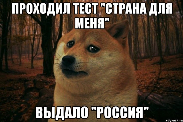 проходил тест "Страна для меня" выдало "Россия", Мем SAD DOGE