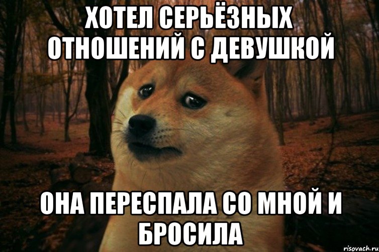 хотел серьёзных отношений с девушкой она переспала со мной и бросила, Мем SAD DOGE