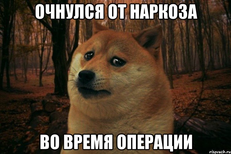 очнулся от наркоза во время операции, Мем SAD DOGE