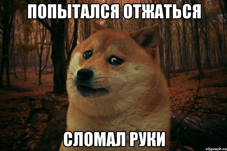 попытался отжаться сломал руки, Мем SAD DOGE