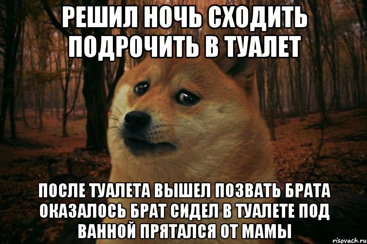 Решил ночь сходить подрочить в туалет После туалета вышел позвать брата оказалось брат сидел в туалете под ванной прятался от Мамы, Мем SAD DOGE