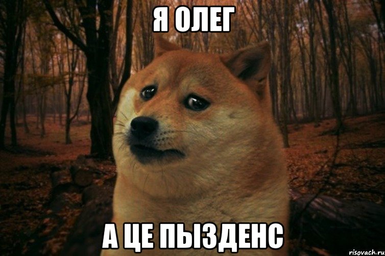 Я Олег а це пызденс, Мем SAD DOGE