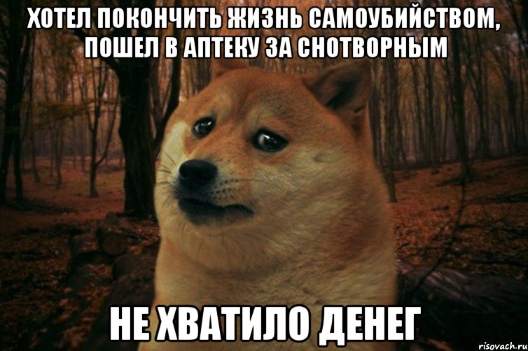 хотел покончить жизнь самоубийством, пошел в аптеку за снотворным не хватило денег, Мем SAD DOGE