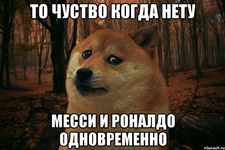 то чуство когда нету месси и роналдо одновременно, Мем SAD DOGE