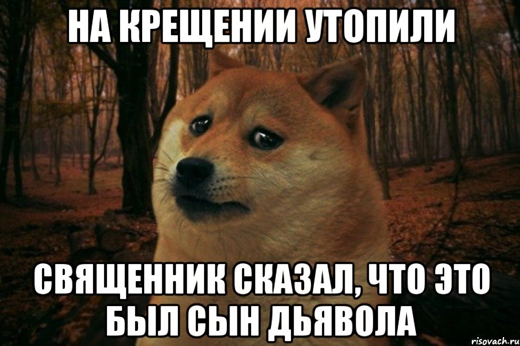 На крещении утопили Священник сказал, что это был сын дьявола, Мем SAD DOGE