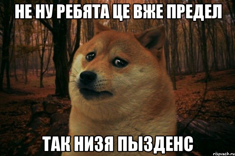 не ну ребята це вже предел так низя пызденс, Мем SAD DOGE