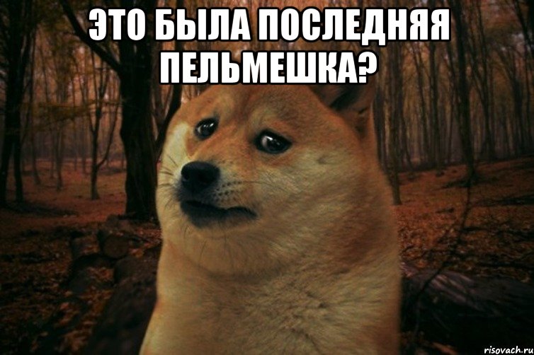 Это была последняя пельмешка? , Мем SAD DOGE