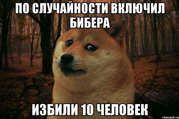 По случайности включил бибера Избили 10 человек, Мем SAD DOGE