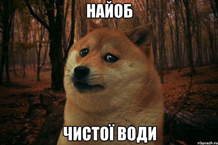 Найоб Чистої води, Мем SAD DOGE