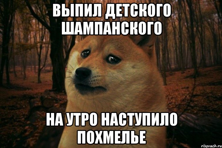 выпил детского шампанского на утро наступило похмелье, Мем SAD DOGE