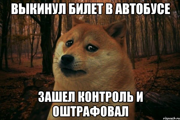 выкинул билет в автобусе зашел контроль и оштрафовал, Мем SAD DOGE