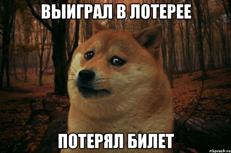 выиграл в лотерее потерял билет, Мем SAD DOGE