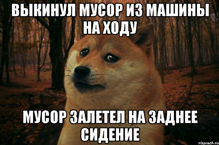 выкинул мусор из машины на ходу мусор залетел на заднее сидение, Мем SAD DOGE