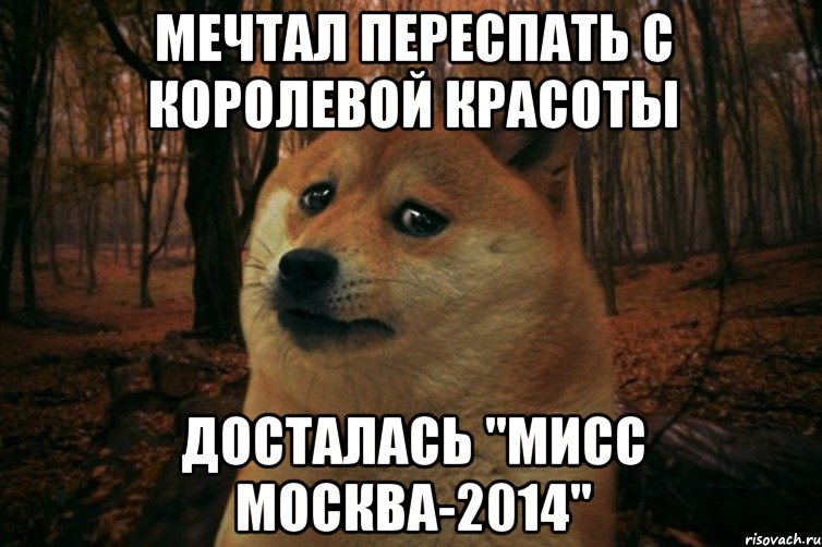 мечтал переспать с королевой красоты досталась "мисс москва-2014", Мем SAD DOGE