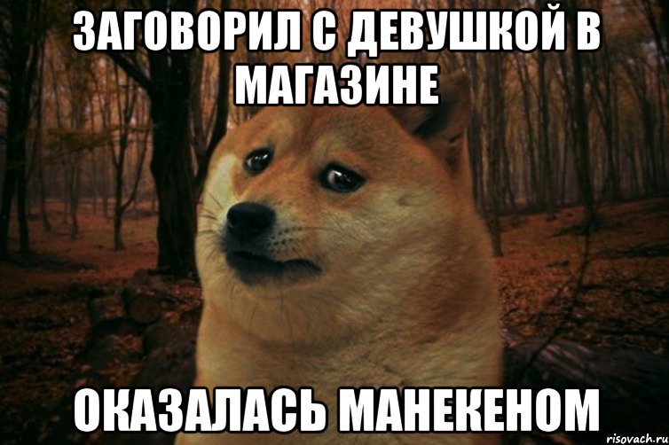 заговорил с девушкой в магазине оказалась манекеном, Мем SAD DOGE