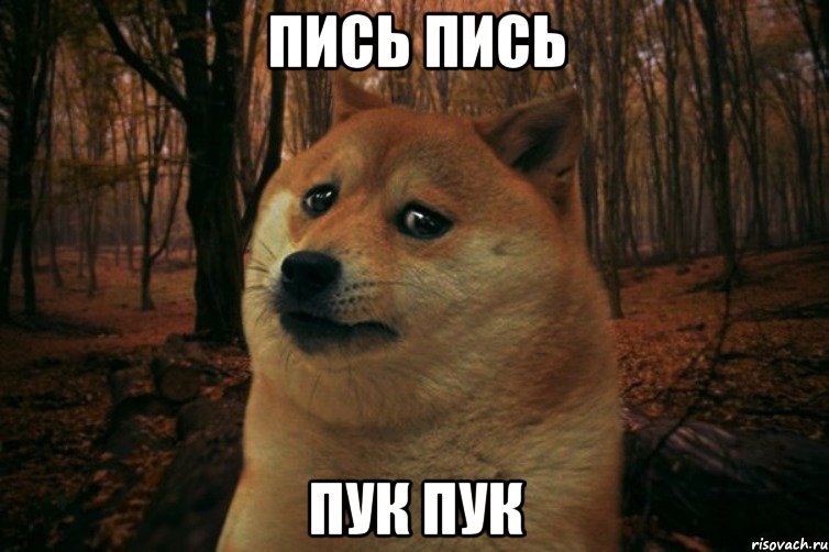 пись пись пук пук, Мем SAD DOGE