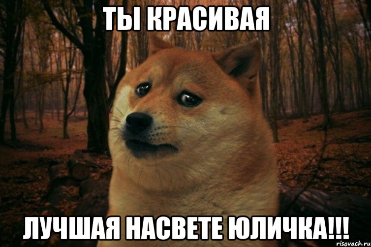 ты красивая лучшая насвете ЮЛИЧКА!!!, Мем SAD DOGE