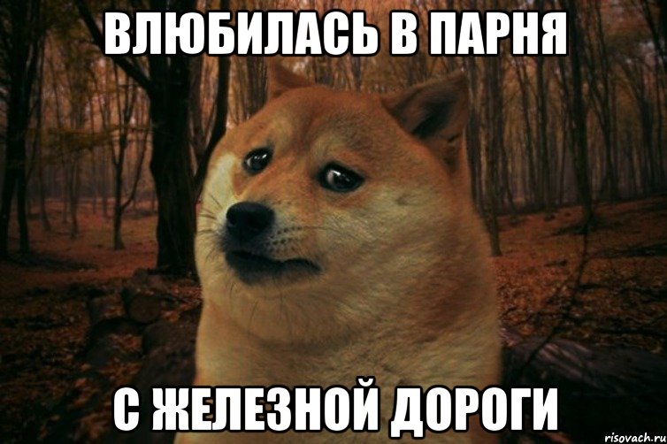 ВЛЮБИЛАСЬ В ПАРНЯ С ЖЕЛЕЗНОЙ ДОРОГИ, Мем SAD DOGE