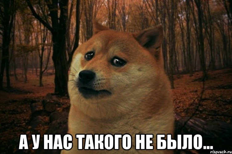  А у нас такого не было..., Мем SAD DOGE