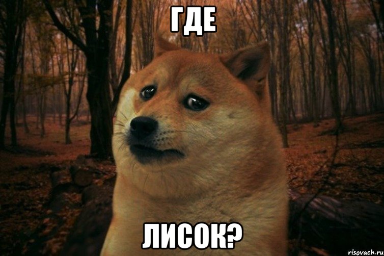 где лисок?, Мем SAD DOGE