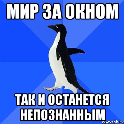 мир за окном так и останется непознанным, Мем  Социально-неуклюжий пингвин