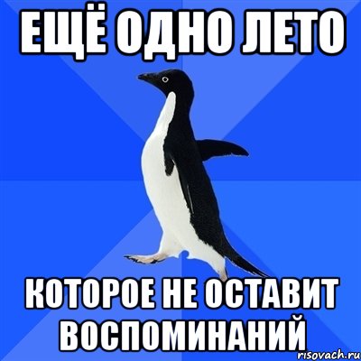 ещё одно лето которое не оставит воспоминаний, Мем  Социально-неуклюжий пингвин