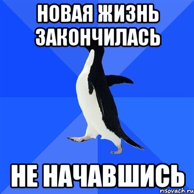 новая жизнь закончилась не начавшись, Мем  Социально-неуклюжий пингвин