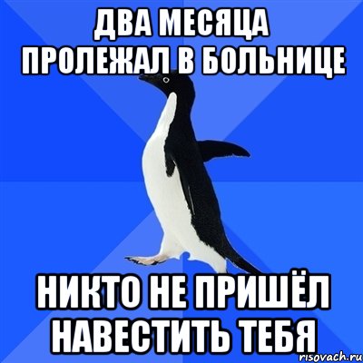 два месяца пролежал в больнице никто не пришёл навестить тебя, Мем  Социально-неуклюжий пингвин