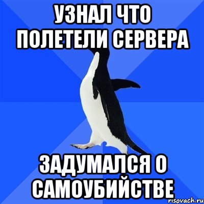 Узнал что полетели сервера Задумался о самоубийстве, Мем  Социально-неуклюжий пингвин