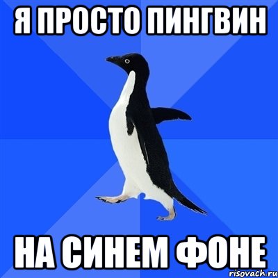 я просто пингвин на синем фоне, Мем  Социально-неуклюжий пингвин