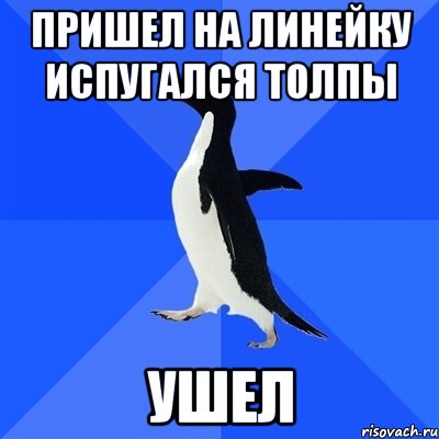 Пришел на линейку испугался толпы УШЕЛ, Мем  Социально-неуклюжий пингвин