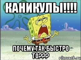 КАНИКУЛЫ!!!! Почему так быстро то???, Мем Спанч Боб плачет