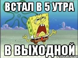 встал в 5 утра в выходной, Мем Спанч Боб плачет