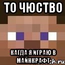 ТО ЧЮСТВО КАГДА Я ИГРАЮ В МАЙНКРАФТ, Мем стив