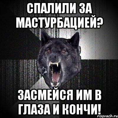 спалили за мастурбацией? засмейся им в глаза и кончи!, Мем Сумасшедший волк