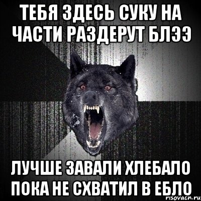 ТЕБЯ ЗДЕСЬ СУКУ НА ЧАСТИ РАЗДЕРУТ БЛЭЭ ЛУЧШЕ ЗАВАЛИ ХЛЕБАЛО ПОКА НЕ СХВАТИЛ В ЕБЛО, Мем Сумасшедший волк