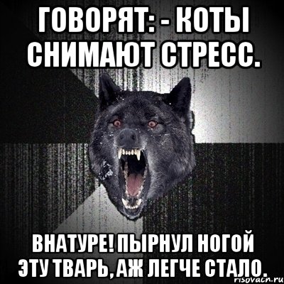 говорят: - коты снимают стресс. внатуре! пырнул ногой эту тварь, аж легче стало., Мем Сумасшедший волк