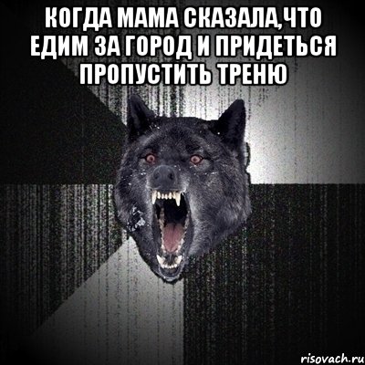 КОГДА МАМА СКАЗАЛА,ЧТО ЕДИМ ЗА ГОРОД И ПРИДЕТЬСЯ ПРОПУСТИТЬ ТРЕНЮ , Мем Сумасшедший волк