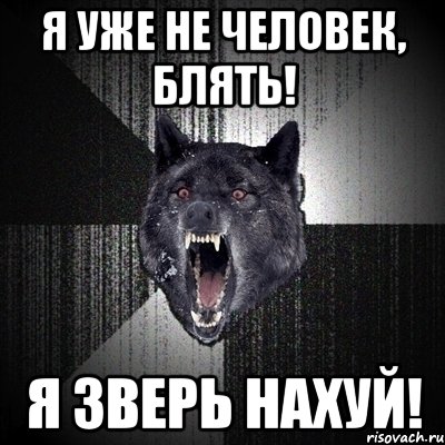 Я уже не человек, блять! Я зверь нахуй!, Мем Сумасшедший волк